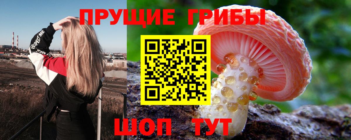 Галлюциногенные грибы мицелий  Вход с VPN  наркота  Рыбинск 